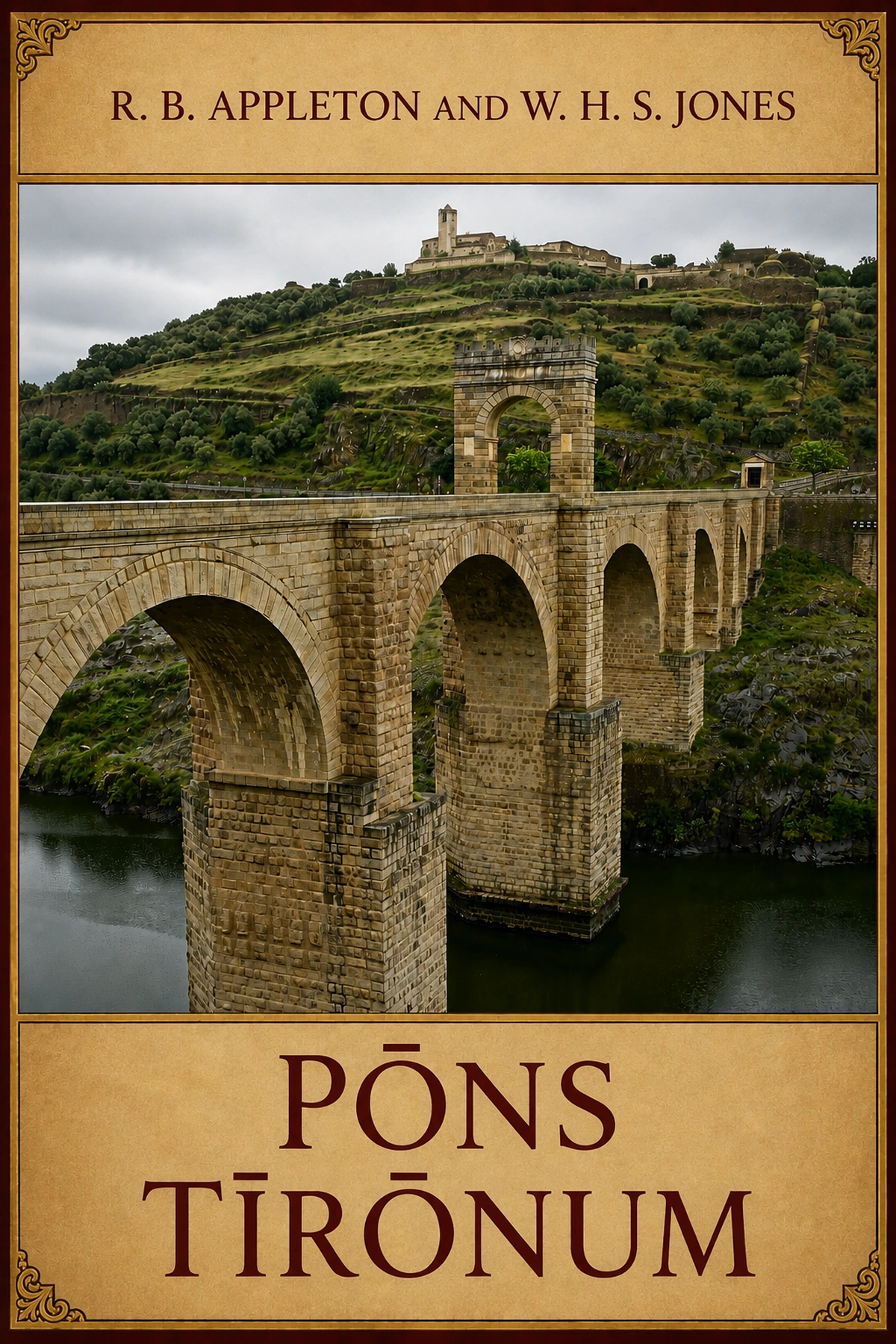 Pons Tironum cover